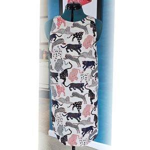 H&M Big Cats Print Sheath Dress Size 8